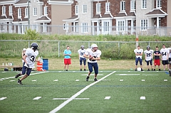 C5D_040966