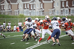 C5D_040981