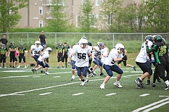C5D_041088