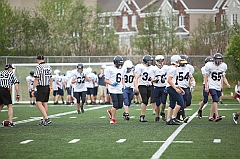 C5D_041184