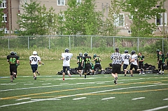 C5D_041190