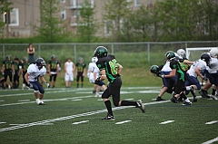 C5D_041331