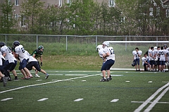 C5D_041337