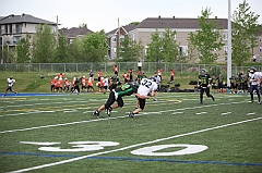 C5D_041343