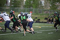 C5D_041349
