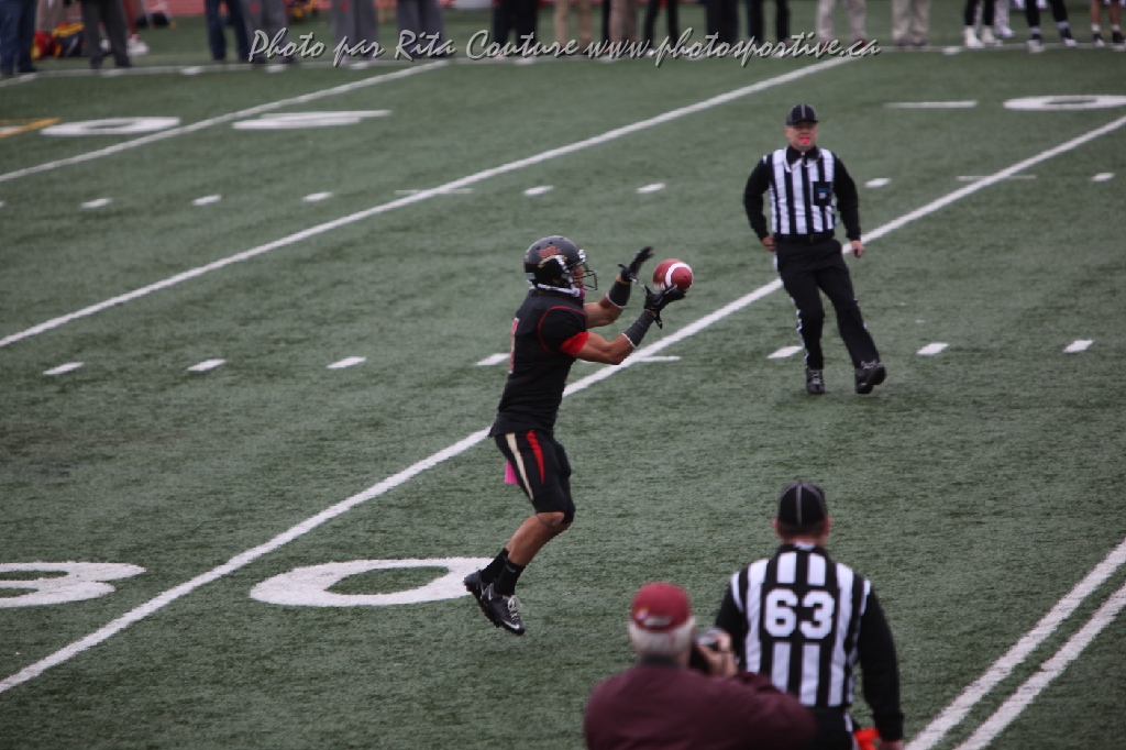 C5D_106310.JPG