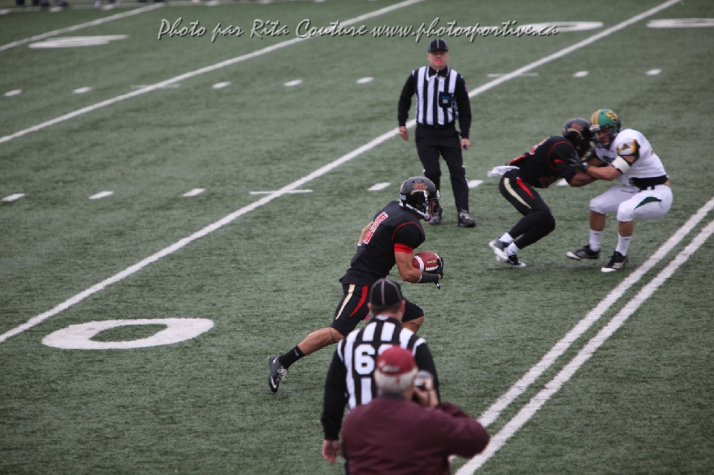 C5D_106311.JPG
