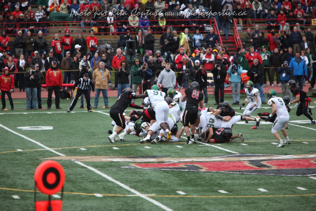 C5D_106330.JPG