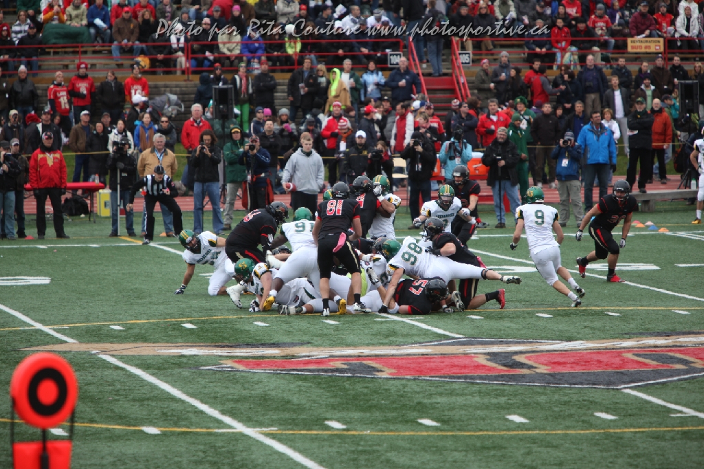 C5D_106331.JPG