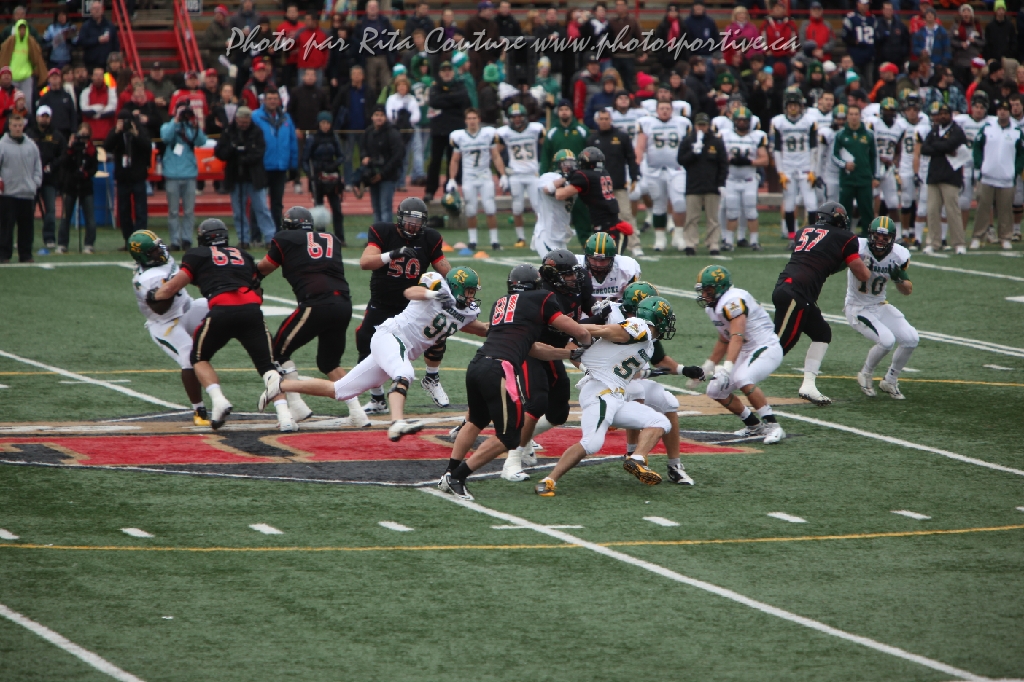 C5D_106339.JPG