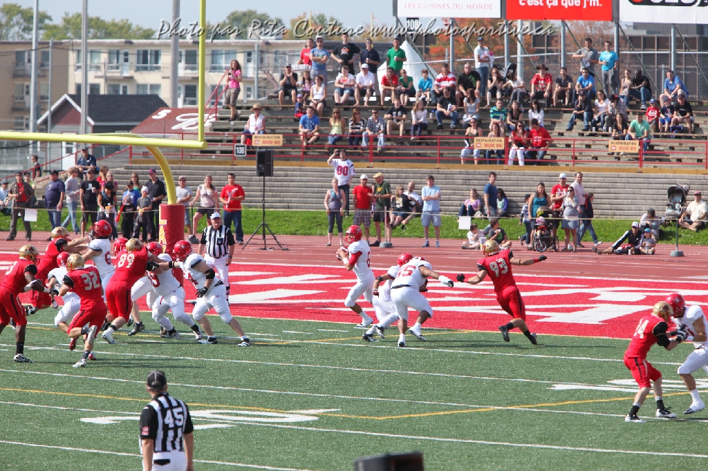 C5D_102088.JPG