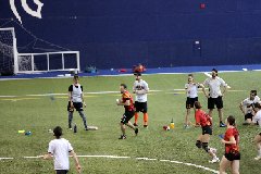 4L4C1266