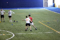 4L4C1529