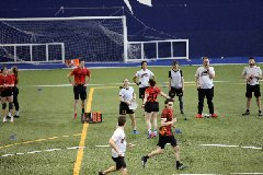 4L4C2329