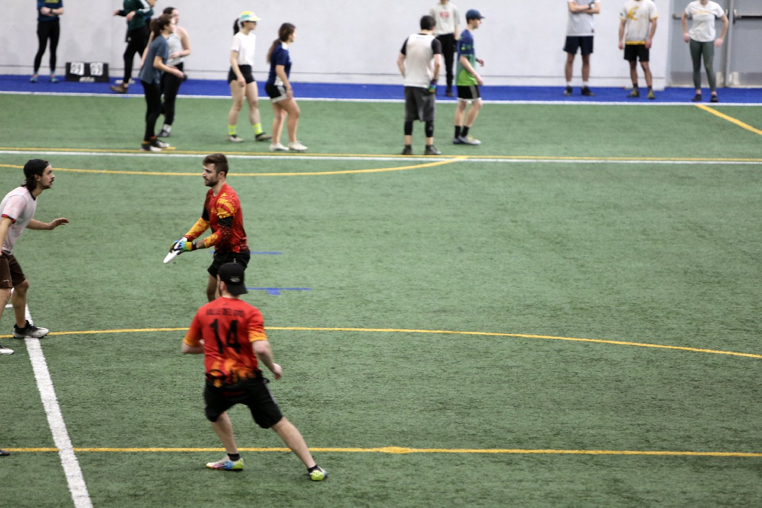 4L4C5650.JPG