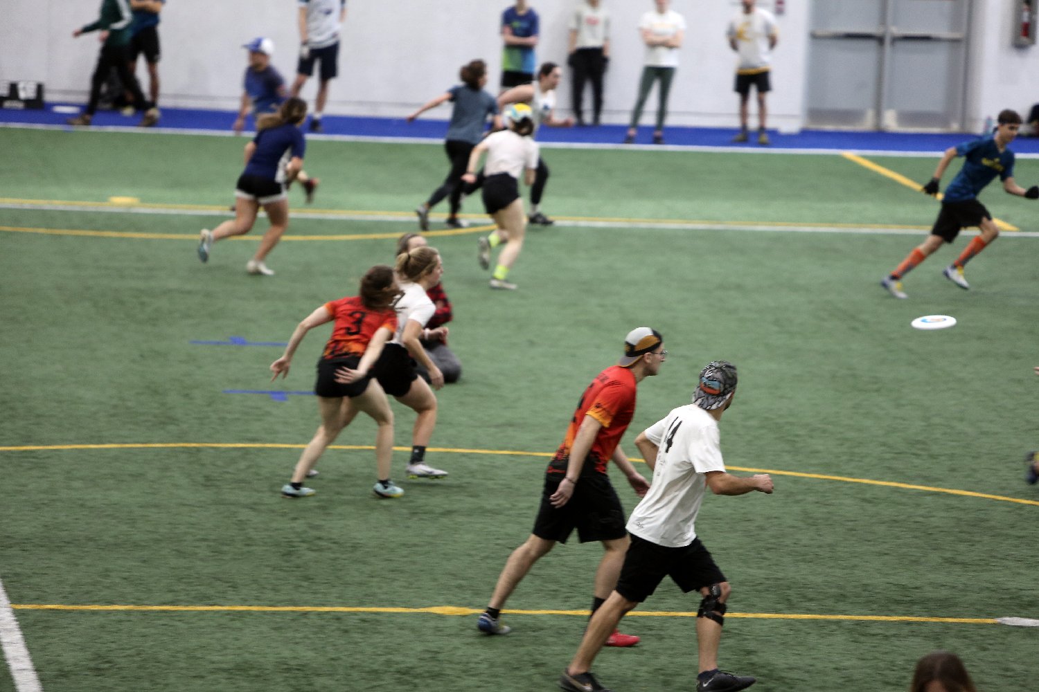 4L4C5836.JPG