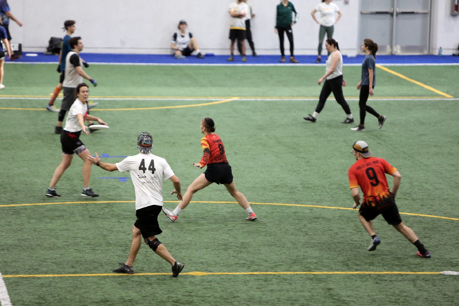 4L4C6015.JPG