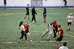 4L4C3460