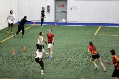4L4C3619