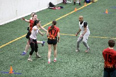 4L4C3631