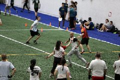 4L4C4071