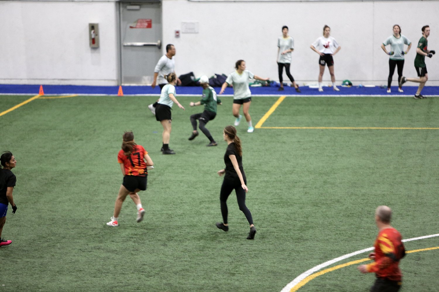 4L4C4475.JPG