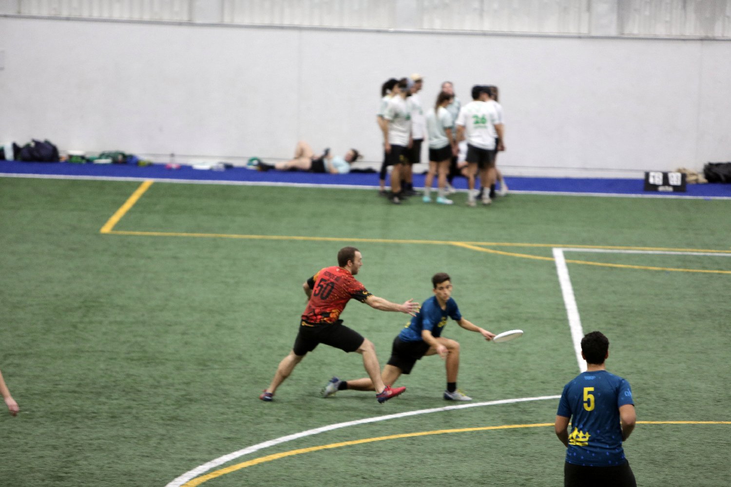 4L4C5198.JPG