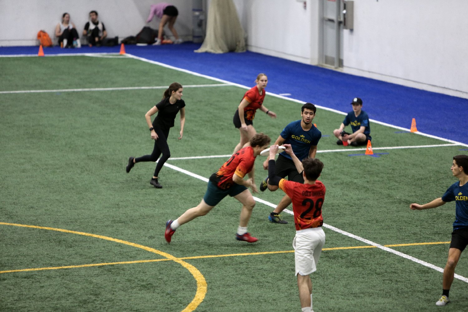 4L4C5263.JPG