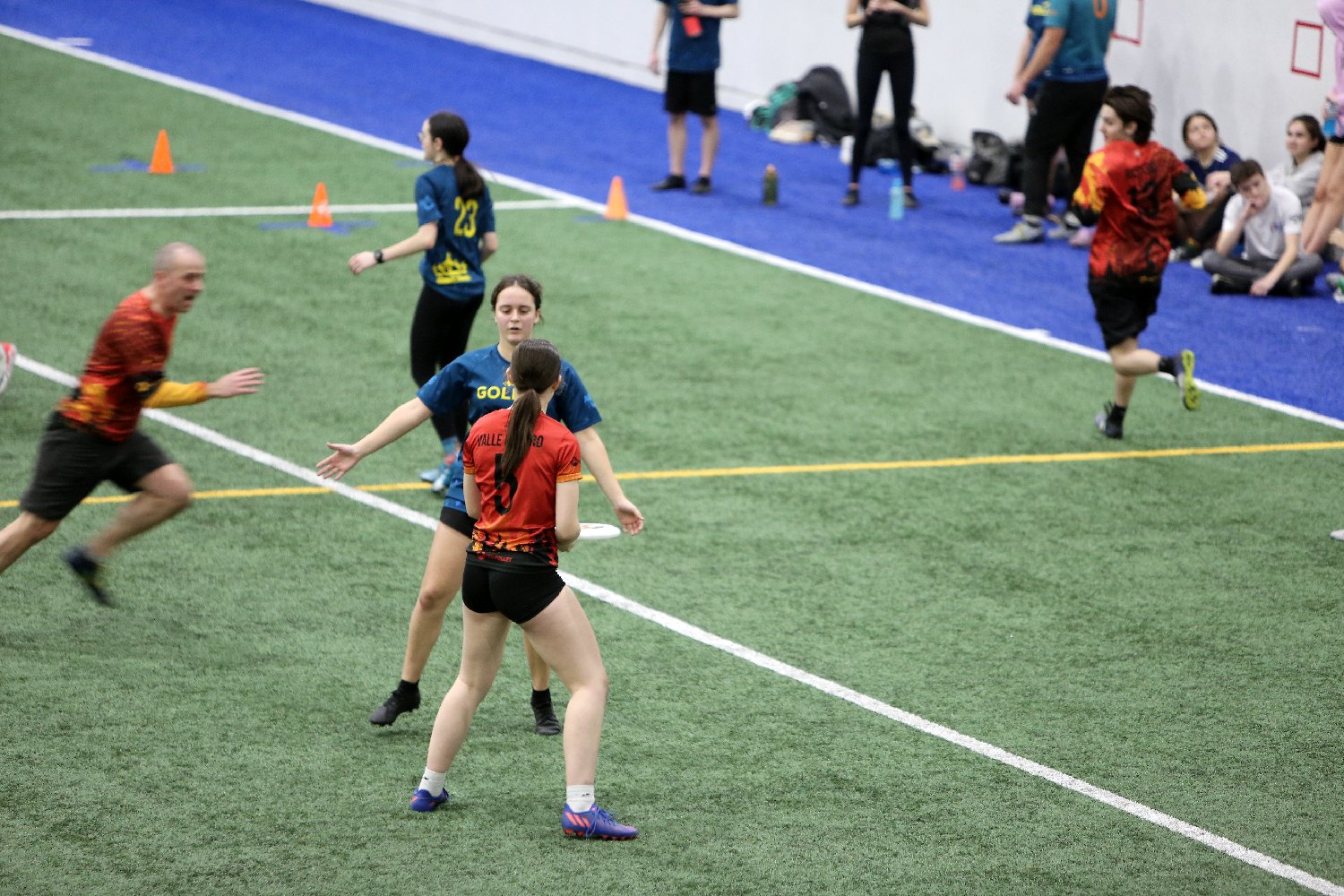 4L4C5355.JPG
