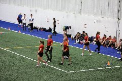 4L4C4336