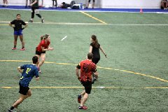 4L4C4426