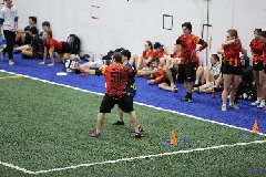 4L4C4528