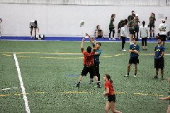 4L4C4612