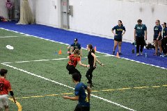 4L4C5251