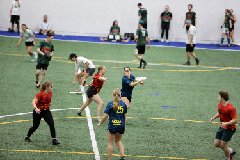 4L4C5397