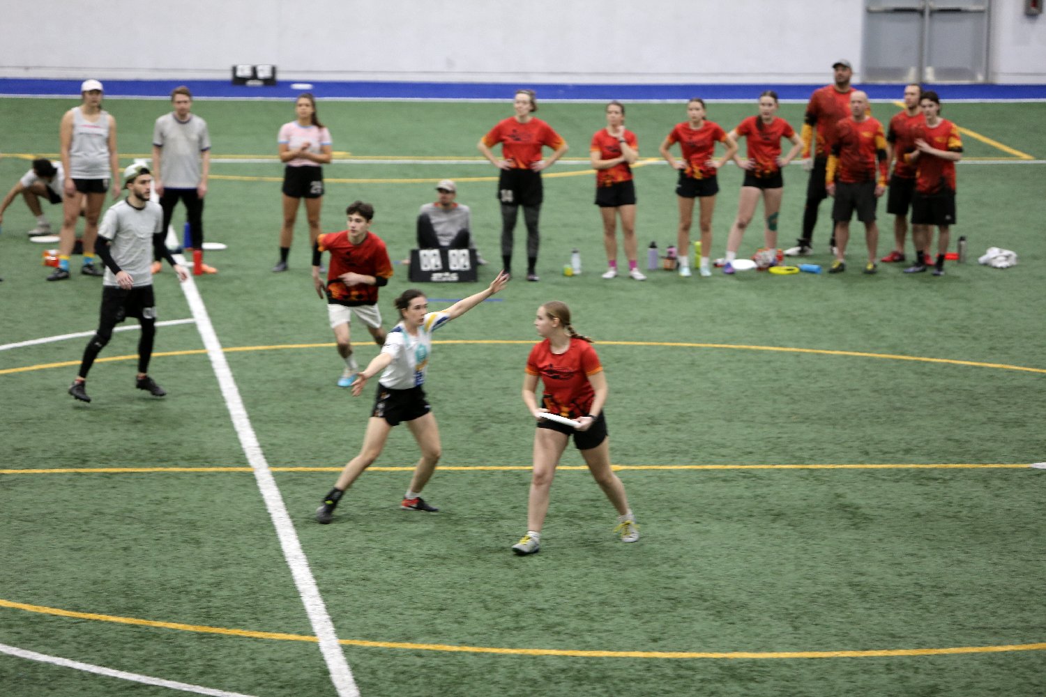4L4C7229.JPG