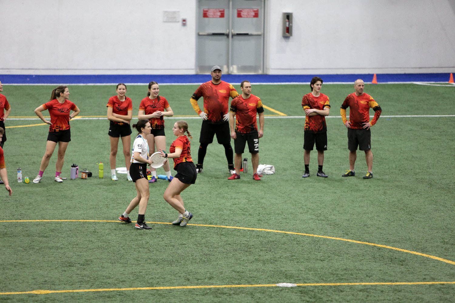 4L4C7346.JPG