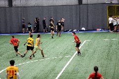 4L4C1398