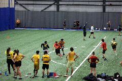 4L4C1528