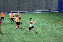 4L4C1161
