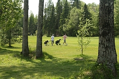 Castor_0035