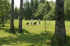 Castor_0036