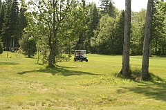 Castor_0041