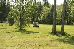 Castor_0042