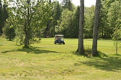 Castor_0043