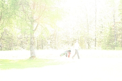 Castor_0047
