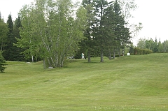 Castor_0082