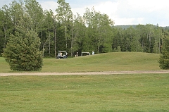 Castor_0085