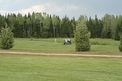 Castor_0087