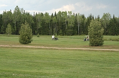 Castor_0089
